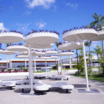 Parque_da_ Cidade_03