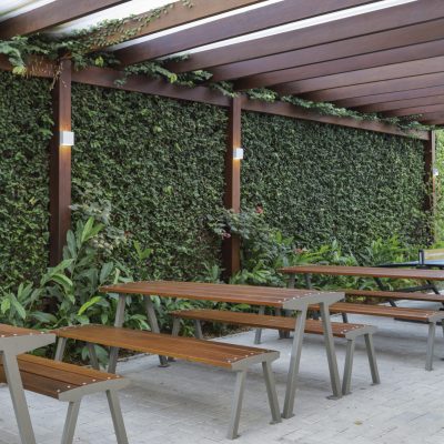 Colégio Cognitivo_03