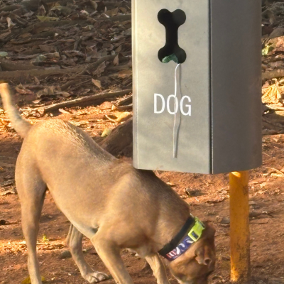 Praça Coronel Fernandes de Lima_01