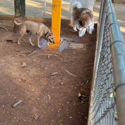Praça Coronel Fernandes de Lima_04
