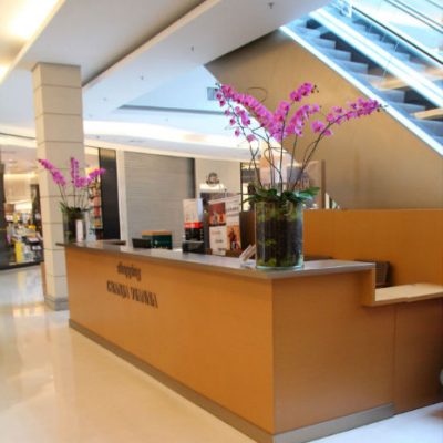 Shopping-Granja-Viana (8)